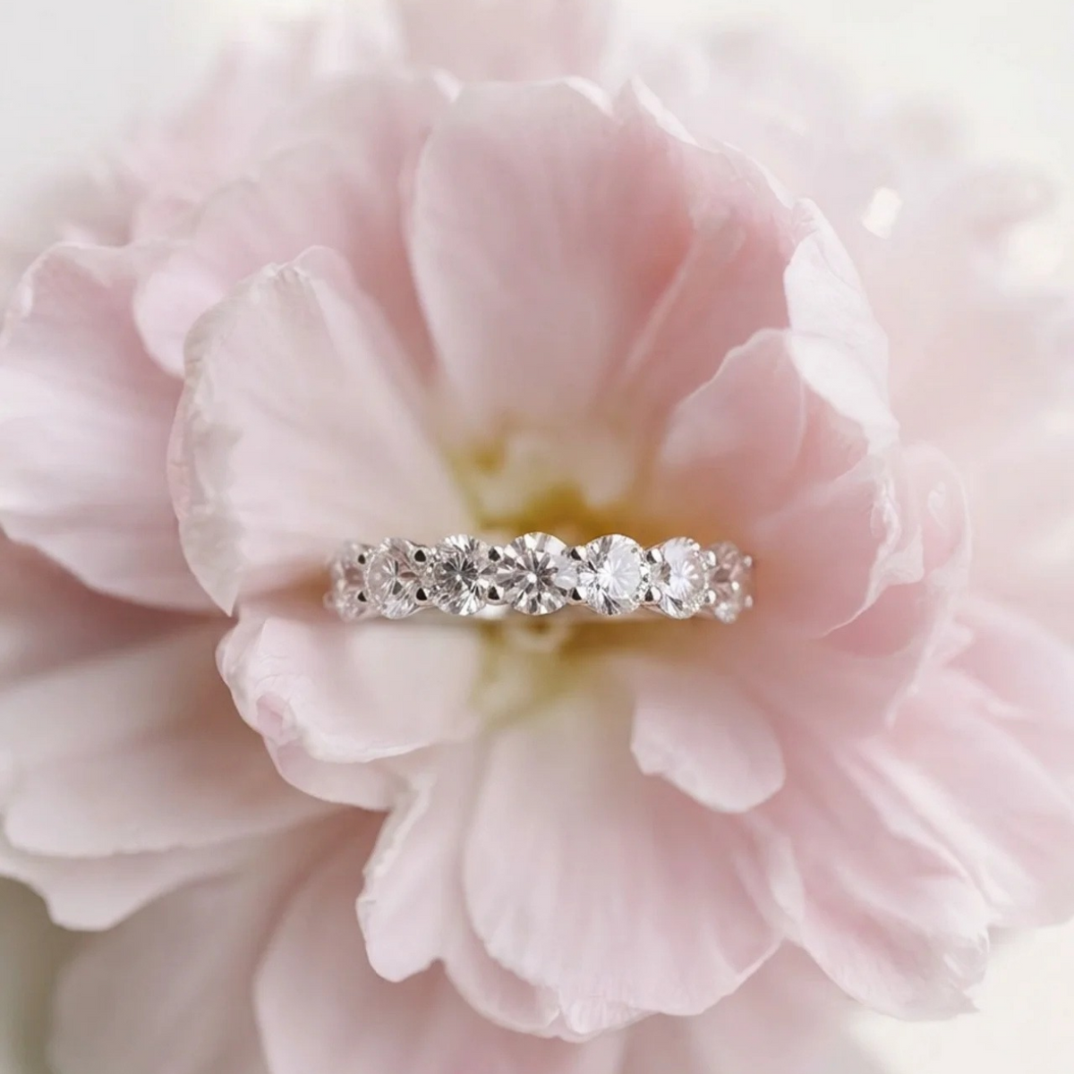 MOISSANITE COLLECTION