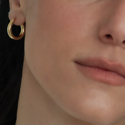 Sophia עגילי חישוק ציפוי זהב